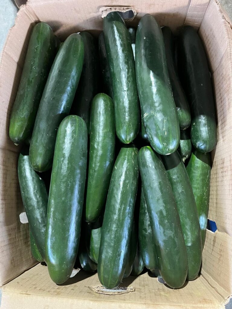 Pepino