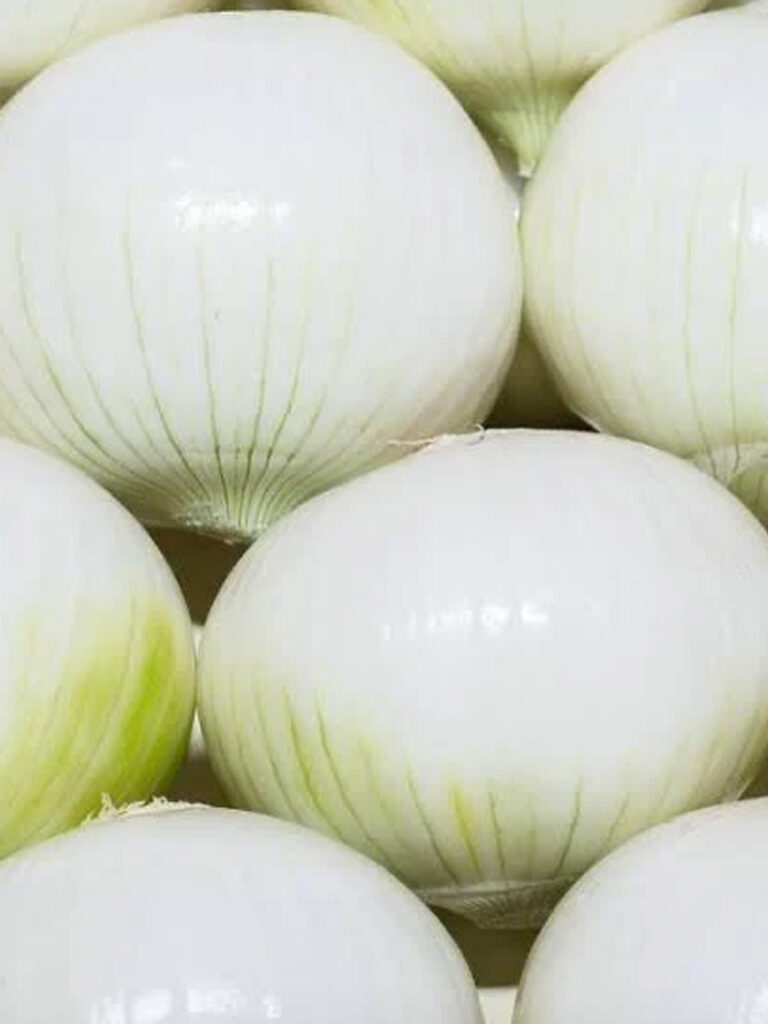 Cebolla